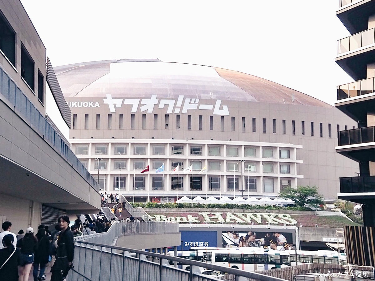 DNWL0559.jpg DNWL0559.jpg