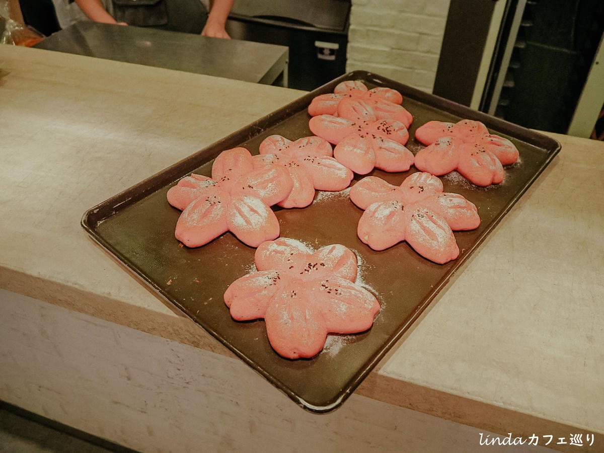 IMG_4884.jpg IMG_4884.jpg