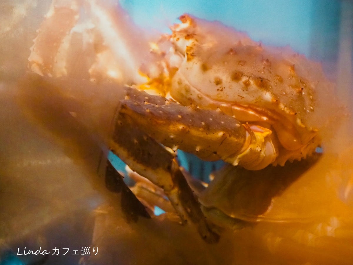建一水產 手抓海鮮日式無菜單014.jpg 建一水產 手抓海鮮日式無菜單014.jpg