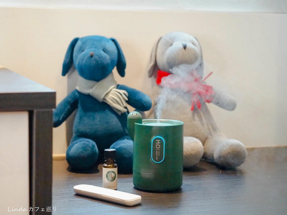 仙人掌加濕器薰香機 50.jpg 仙人掌加濕器薰香機 50.jpg