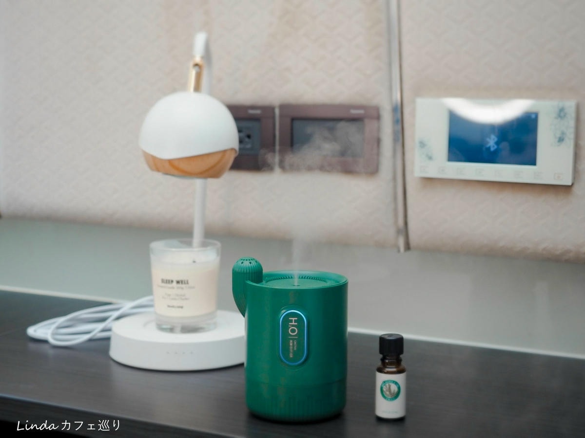仙人掌加濕器薰香機 52.jpg 仙人掌加濕器薰香機 52.jpg