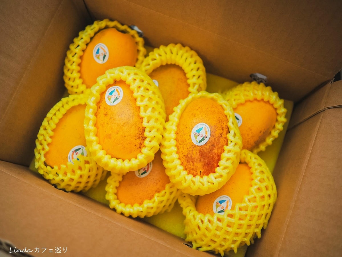 台灣好農 台東夏雪芒果推薦024.jpg 台灣好農 台東夏雪芒果推薦024.jpg