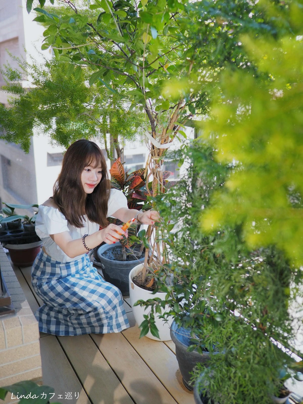 ⟪ WellCut 紅蟳牌 ⟫ 淑女修枝剪 園藝剪刀034.jpg ⟪ WellCut 紅蟳牌 ⟫ 淑女修枝剪 園藝剪刀034.jpg
