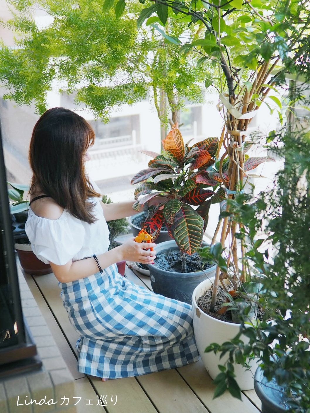 ⟪ WellCut 紅蟳牌 ⟫ 淑女修枝剪 園藝剪刀027.jpg ⟪ WellCut 紅蟳牌 ⟫ 淑女修枝剪 園藝剪刀027.jpg