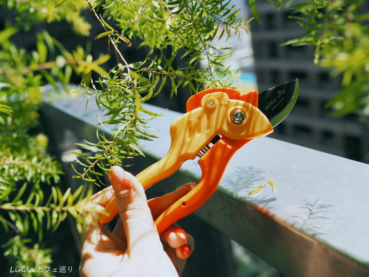 ⟪ WellCut 紅蟳牌 ⟫ 淑女修枝剪 園藝剪刀002.jpg ⟪ WellCut 紅蟳牌 ⟫ 淑女修枝剪 園藝剪刀002.jpg