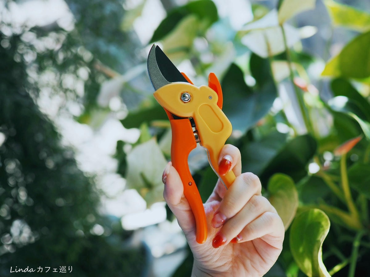 ⟪ WellCut 紅蟳牌 ⟫ 淑女修枝剪 園藝剪刀011.jpg ⟪ WellCut 紅蟳牌 ⟫ 淑女修枝剪 園藝剪刀011.jpg