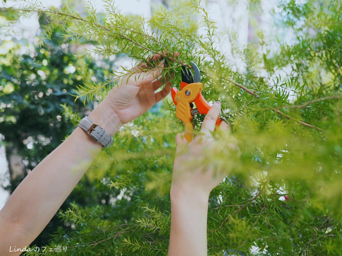 ⟪ WellCut 紅蟳牌 ⟫ 淑女修枝剪 園藝剪刀023.jpg ⟪ WellCut 紅蟳牌 ⟫ 淑女修枝剪 園藝剪刀023.jpg