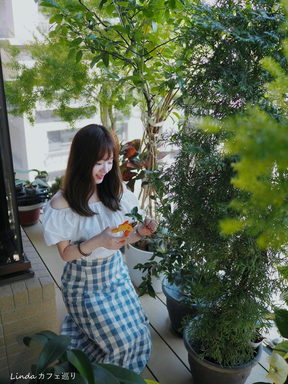 ⟪ WellCut 紅蟳牌 ⟫ 淑女修枝剪 園藝剪刀037.jpg ⟪ WellCut 紅蟳牌 ⟫ 淑女修枝剪 園藝剪刀037.jpg