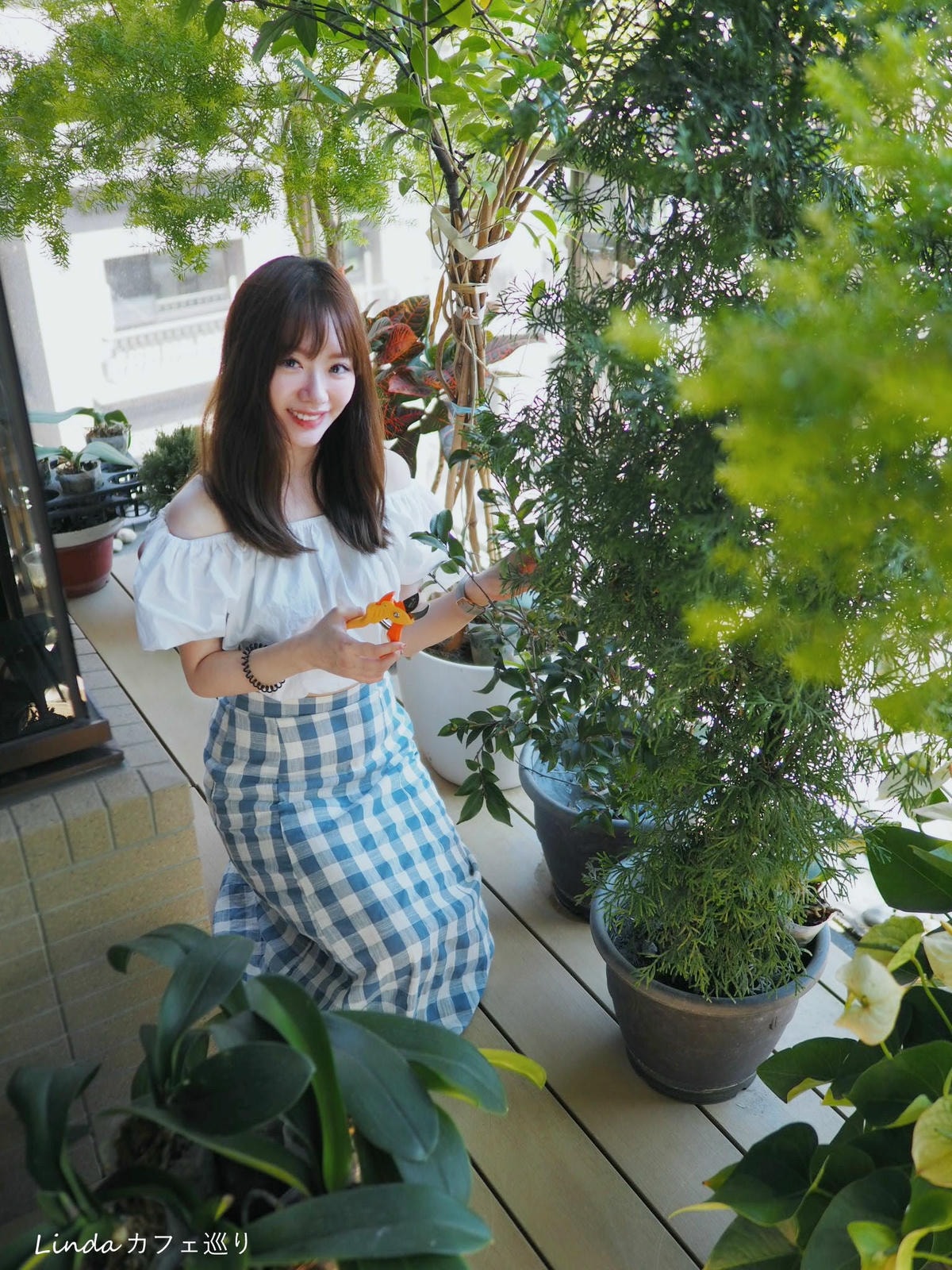⟪ WellCut 紅蟳牌 ⟫ 淑女修枝剪 園藝剪刀036.jpg ⟪ WellCut 紅蟳牌 ⟫ 淑女修枝剪 園藝剪刀036.jpg
