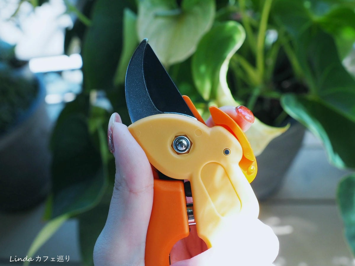 ⟪ WellCut 紅蟳牌 ⟫ 淑女修枝剪 園藝剪刀007.jpg ⟪ WellCut 紅蟳牌 ⟫ 淑女修枝剪 園藝剪刀007.jpg