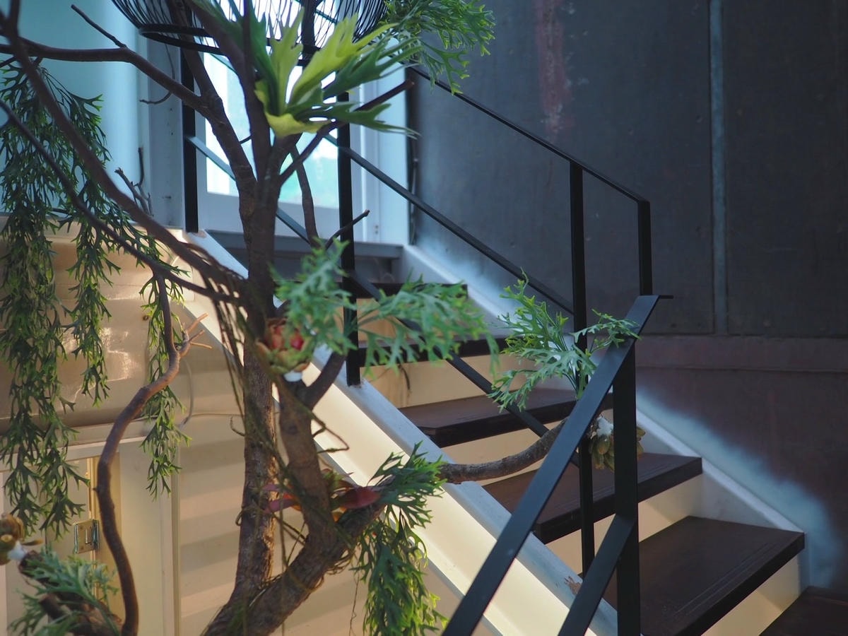 S__54280252.jpg S__54280252.jpg