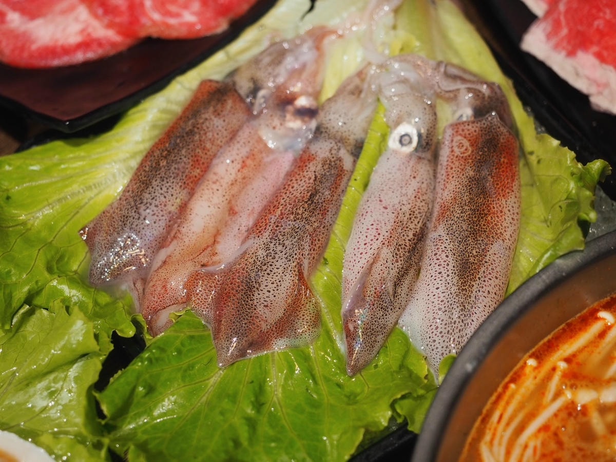 板橋吃到飽推薦《心心石頭火鍋》平日用餐只要369起,居然不收 板橋吃到飽推薦《心心石頭火鍋》平日用餐只要369起,居然不收