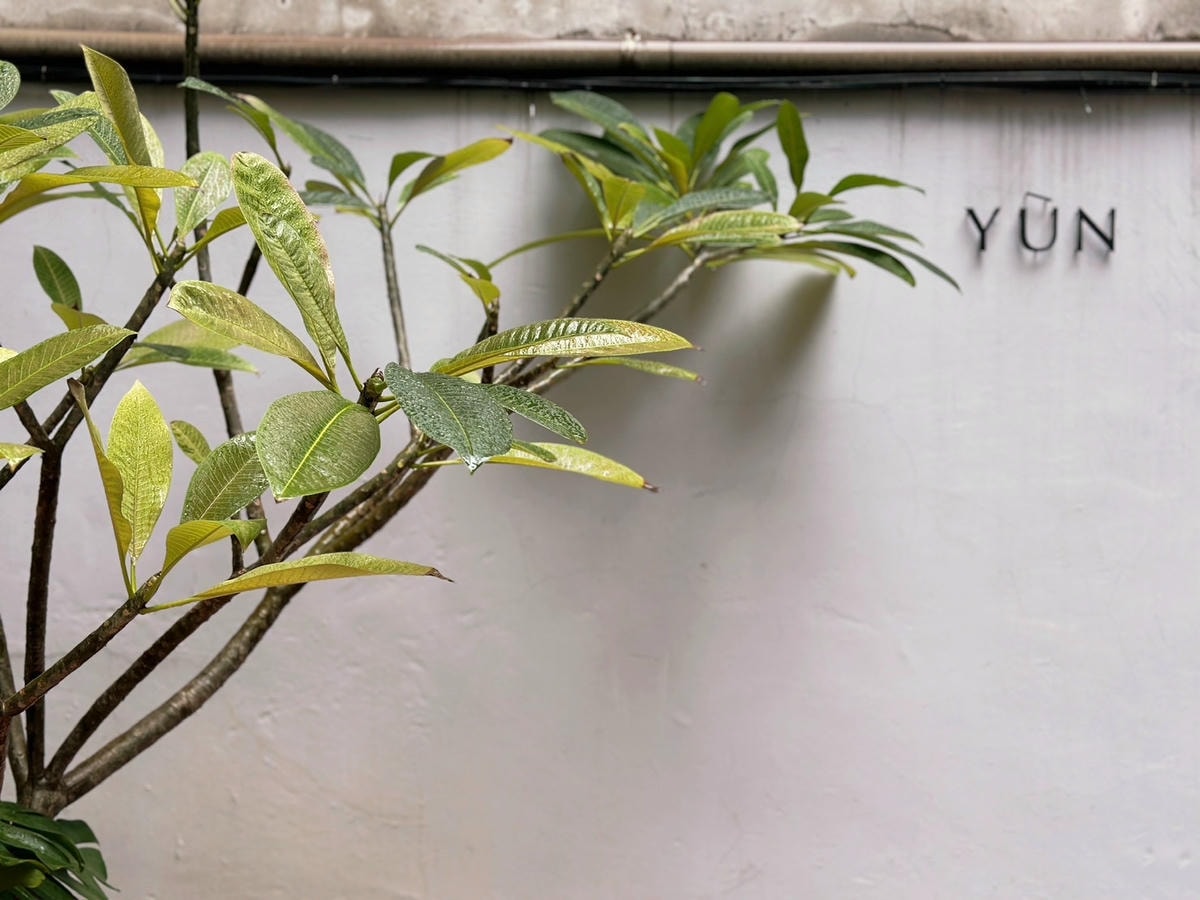 中山區一刀切短髮設計師推薦蘊 YUN SALON 中山店 中山區一刀切短髮設計師推薦蘊 YUN SALON 中山店