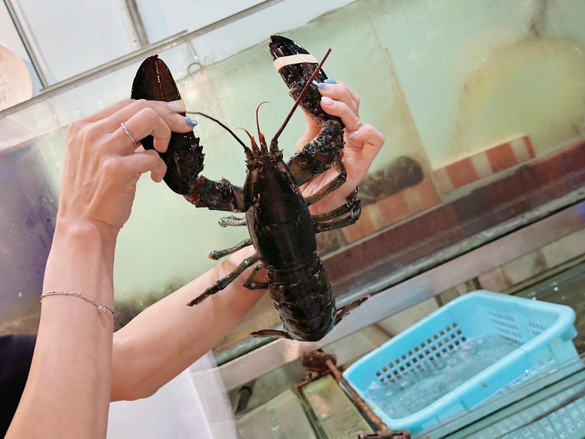 新北板橋海鮮餐廳推薦「蒸天下海鮮蒸氣火鍋」 現撈活海鮮塔一鍋 新北板橋海鮮餐廳推薦「蒸天下海鮮蒸氣火鍋」 現撈活海鮮塔一鍋