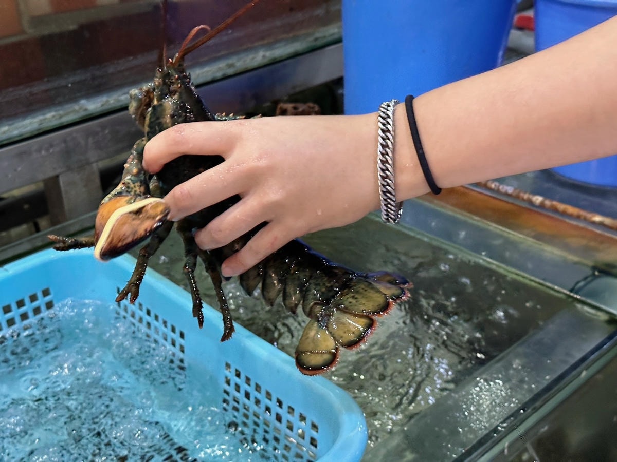 新北板橋海鮮餐廳推薦「蒸天下海鮮蒸氣火鍋」 現撈活海鮮塔一鍋 新北板橋海鮮餐廳推薦「蒸天下海鮮蒸氣火鍋」 現撈活海鮮塔一鍋