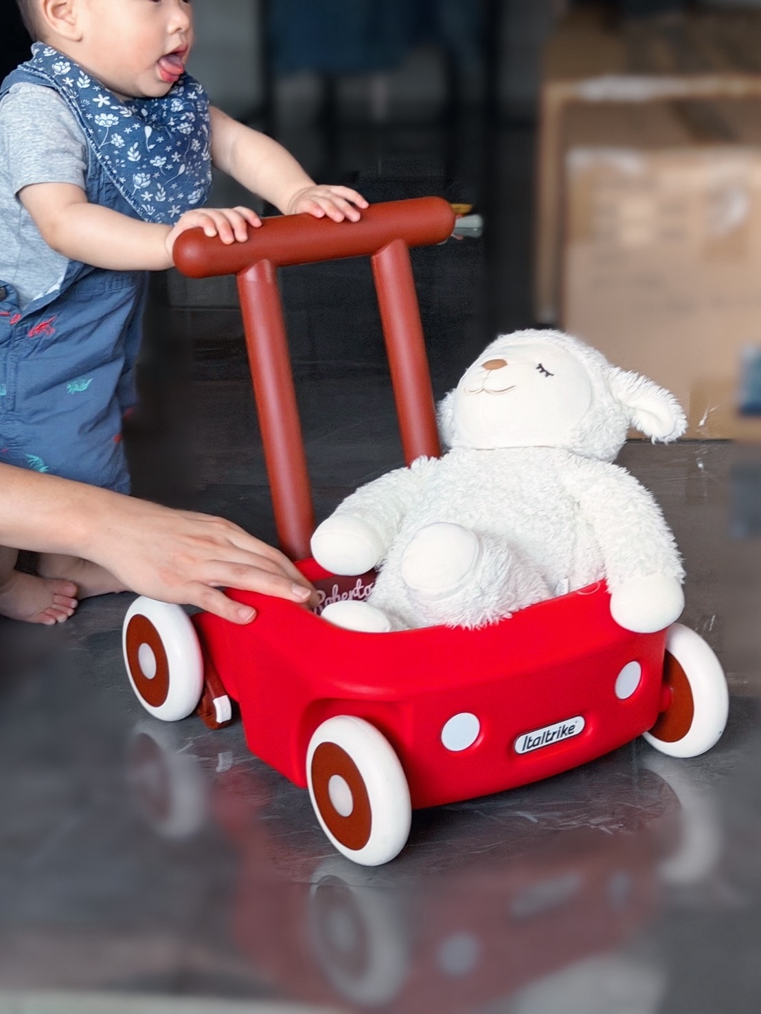 10 個月寶寶的第一台學步車Italtrike Rober 10 個月寶寶的第一台學步車Italtrike Rober