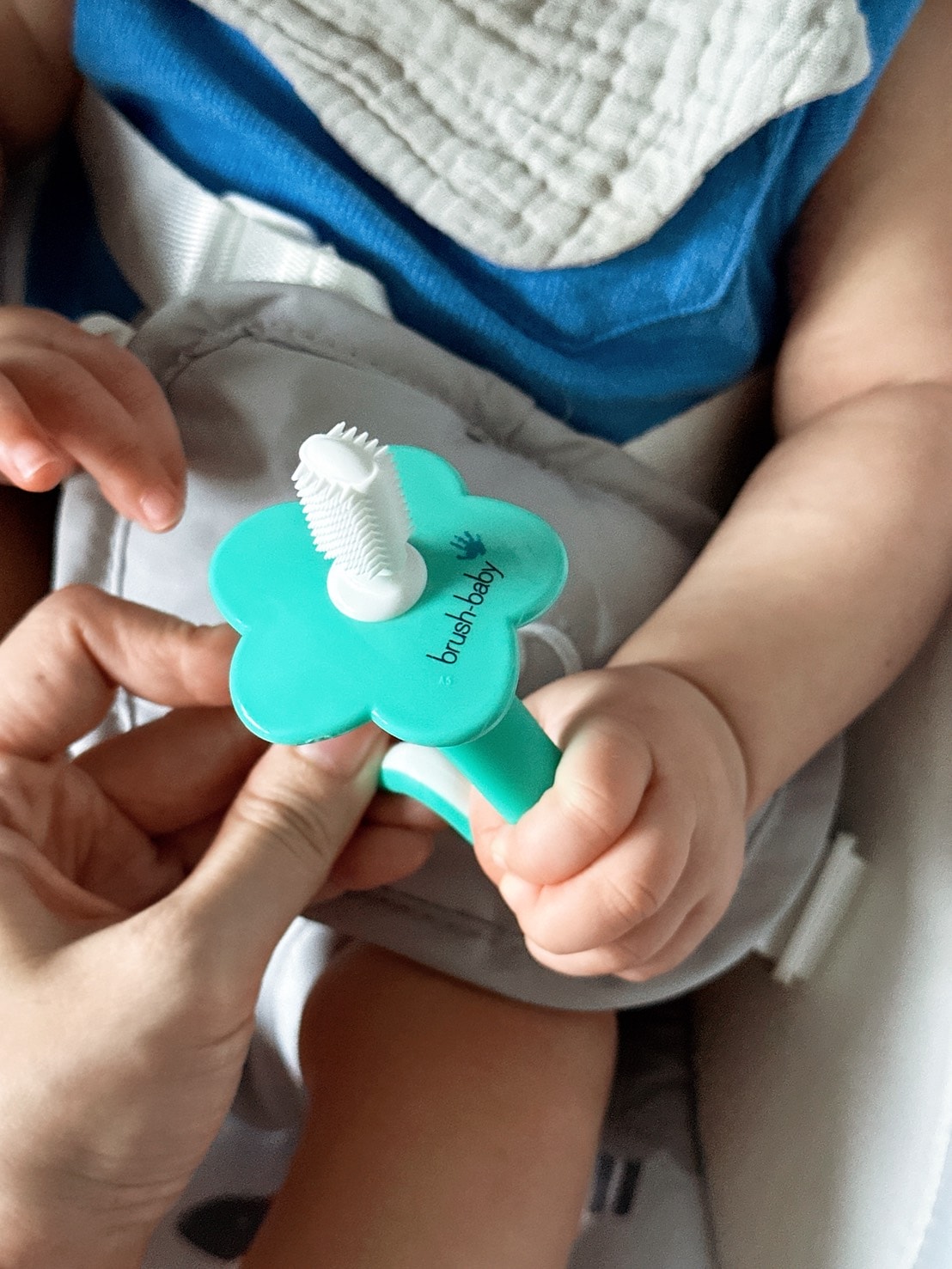 Brush Baby 陪寶寶從萌第一顆乳牙到愛上刷牙，輕鬆渡過口慾期！